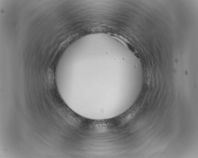 X0000070360228200607072111