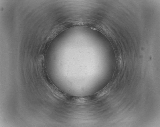 X0000070360229200607072111