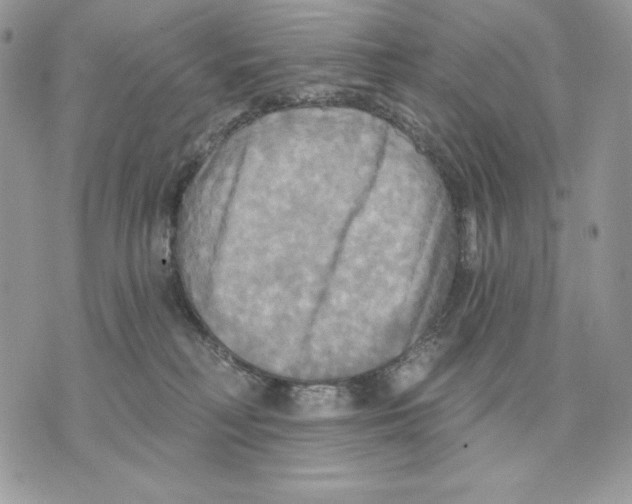 X0000070360230200607072111