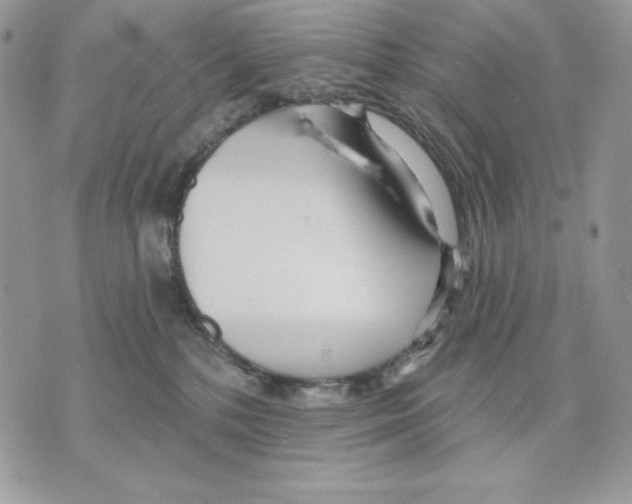 X0000070360232200607072111