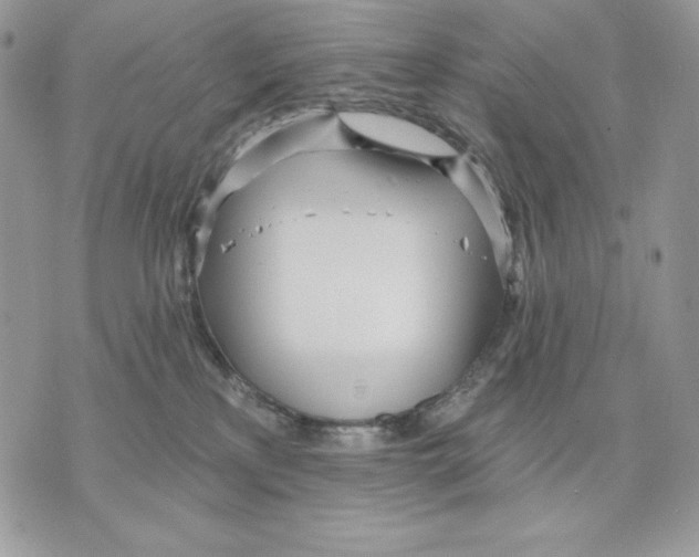 X0000070360233200607072111