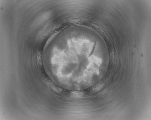 X0000070360234200607072111