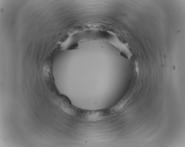 X0000070360235200607072111