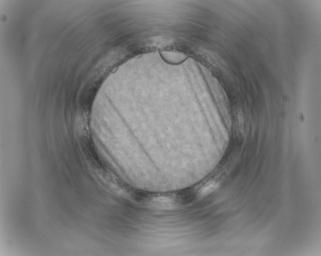 X0000070360236200607072111