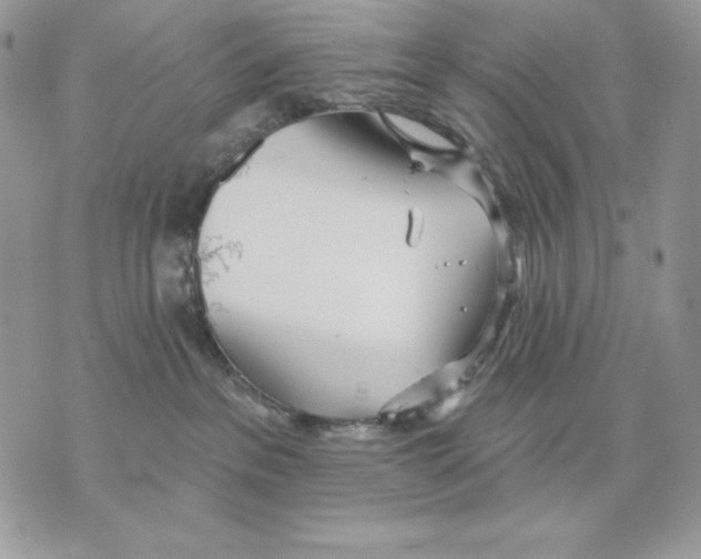 X0000070360237200607072111