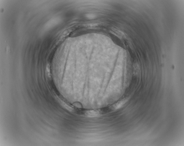 X0000070360238200607072111