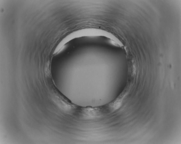 X0000070360239200607072111