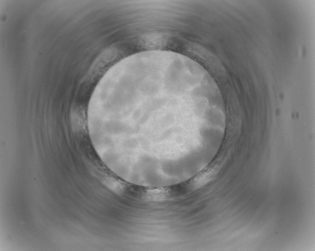 X0000070360240200607072111