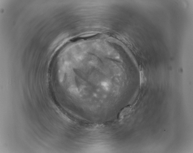 X0000070360243200607072110