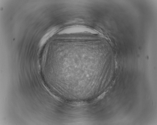 X0000070360245200607072110