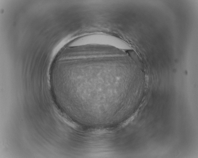 X0000070360246200607072110