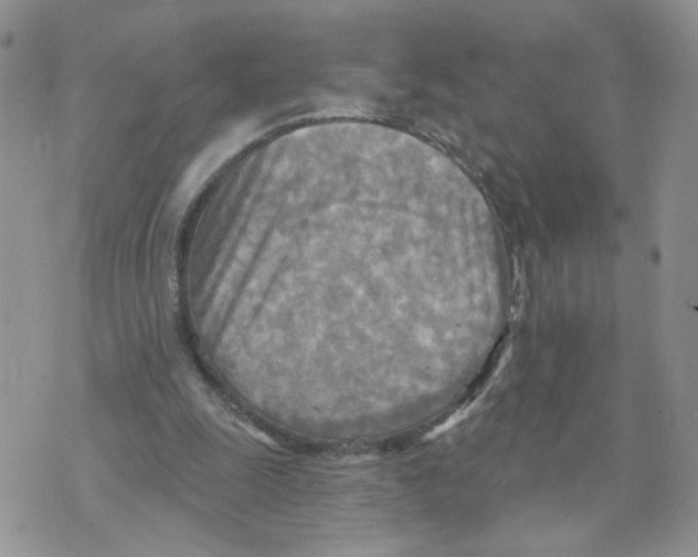 X0000070360247200607072110