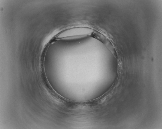 X0000070360248200607072110