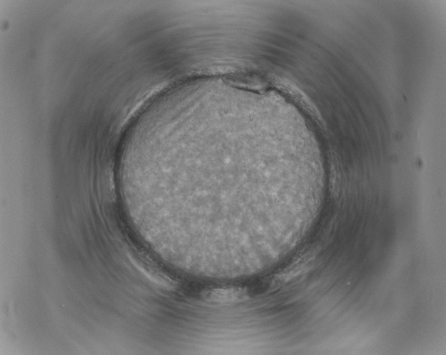 X0000070360251200607072110