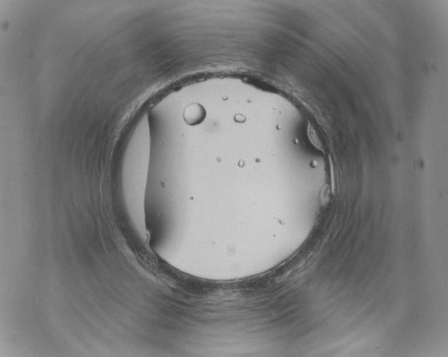 X0000070360252200607072110