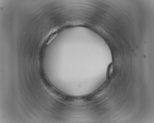 X0000070360256200607072110