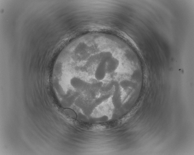 X0000070360257200607072110