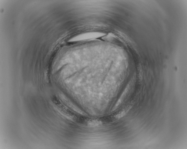 X0000070360258200607072110