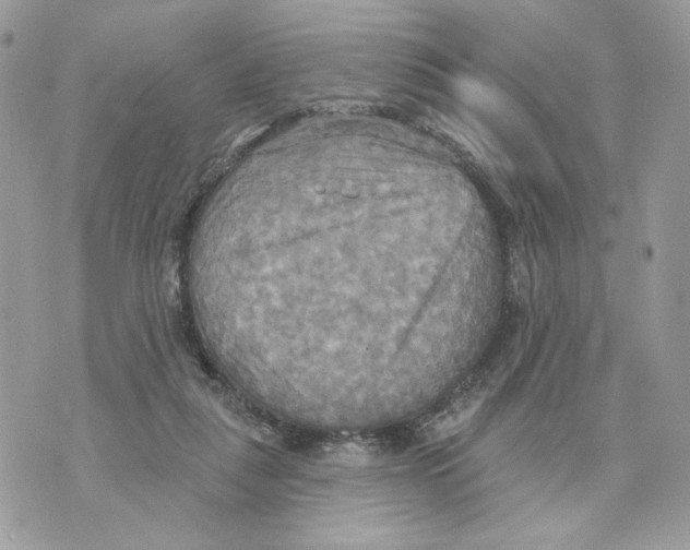 X0000070360259200607072110