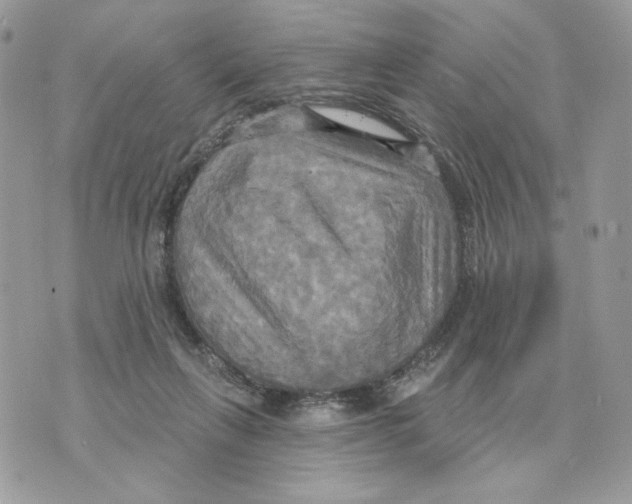 X0000070360263200607072110