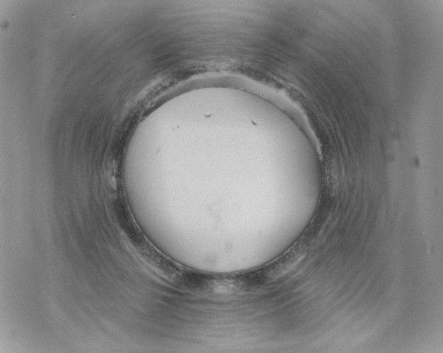 X0000070360264200607072110