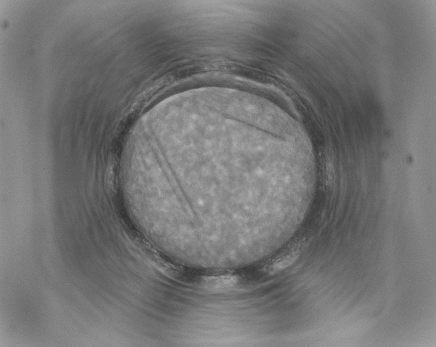 X0000070360266200607072110