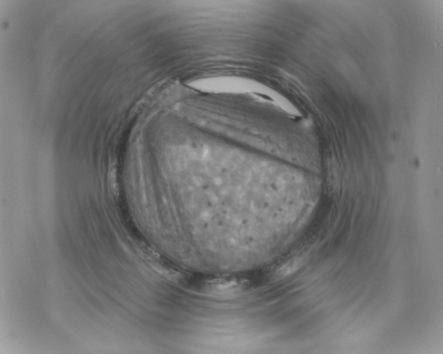 X0000070360267200607072110