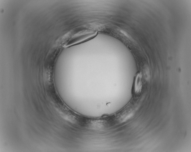 X0000070360268200607072111