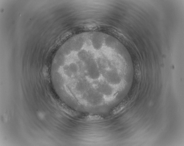 X0000070360270200607072111