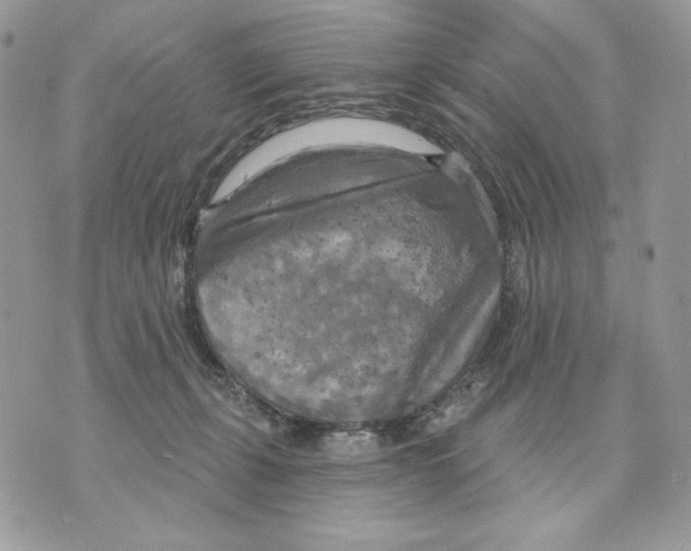 X0000070360271200607072111