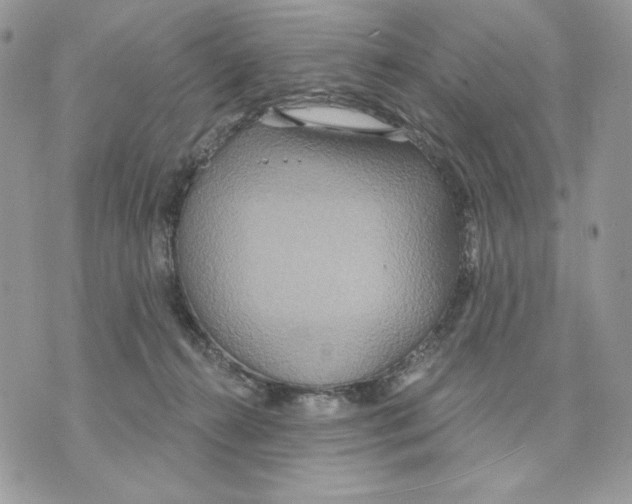 X0000070360272200607072111