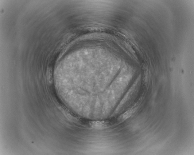 X0000070360273200607072111