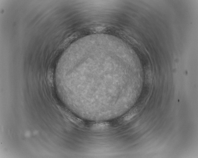 X0000070360274200607072111