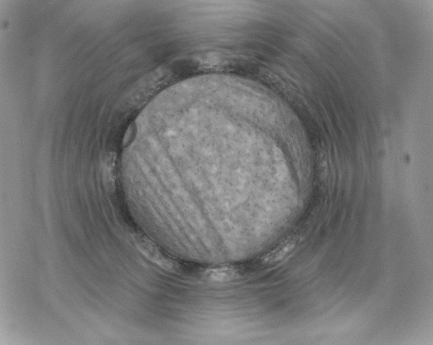 X0000070360275200607072111