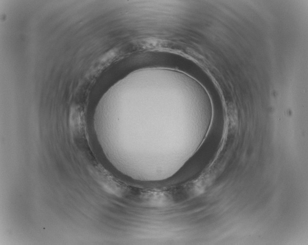 X0000070360276200607072111