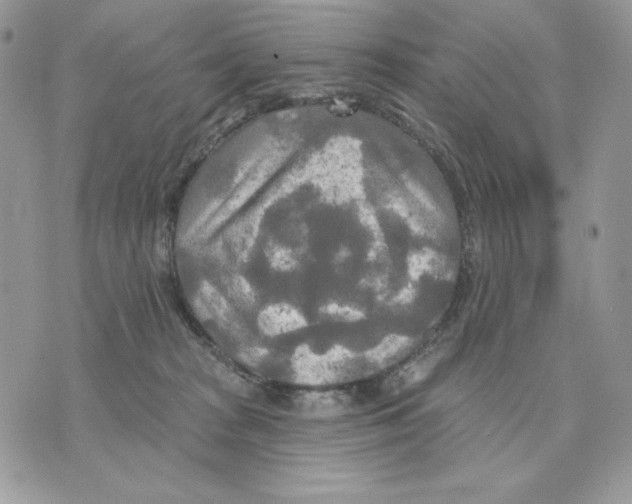 X0000070360277200607072111