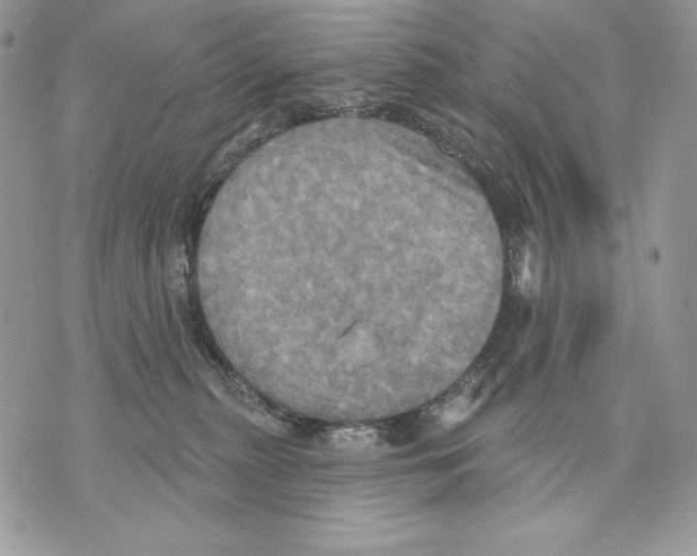 X0000070360279200607072111