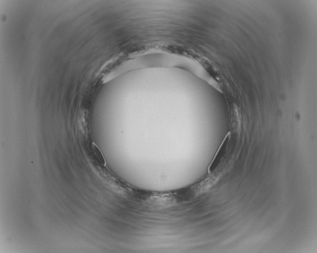 X0000070360280200607072111