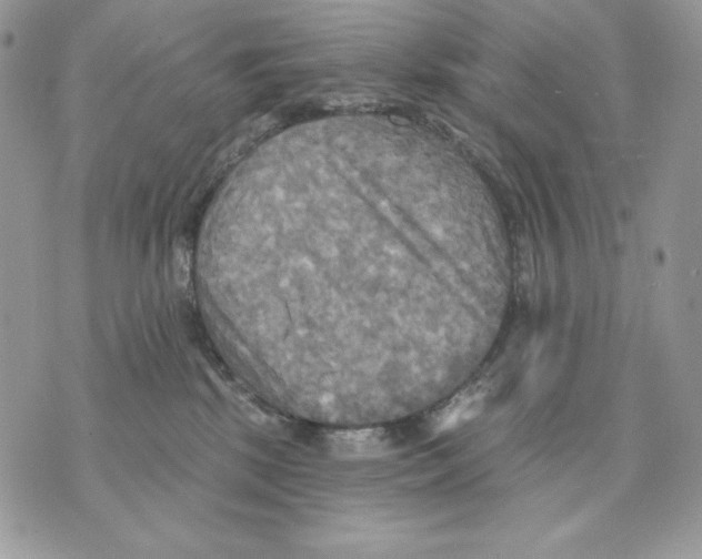 X0000070360281200607072111