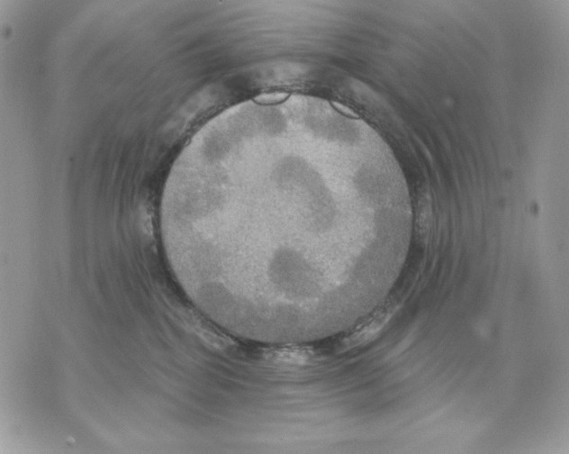 X0000070360282200607072111