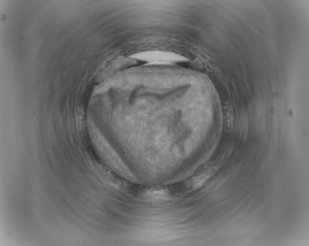 X0000070360283200607072111