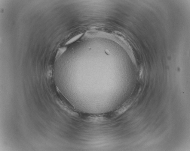 X0000070360284200607072111