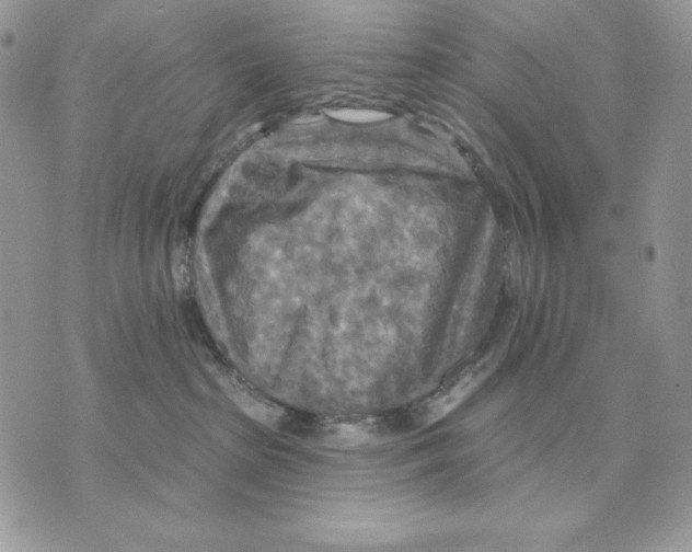 X0000070360285200607072111