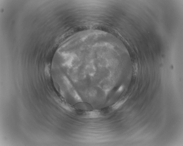 X0000070360286200607072111