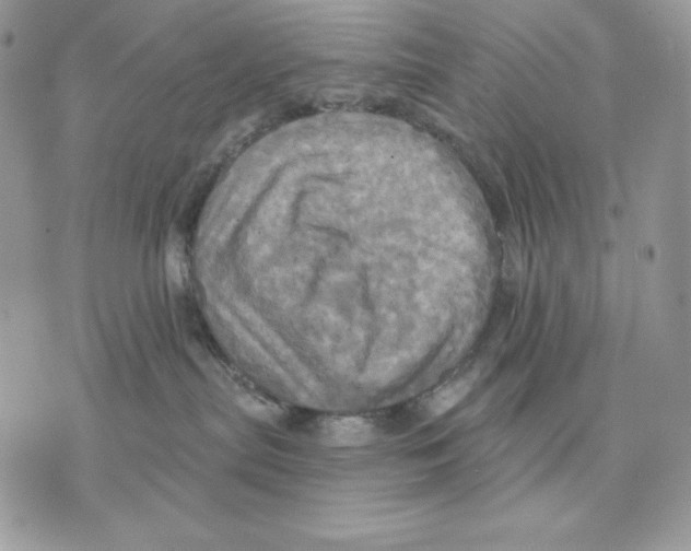 X0000070360287200607072111