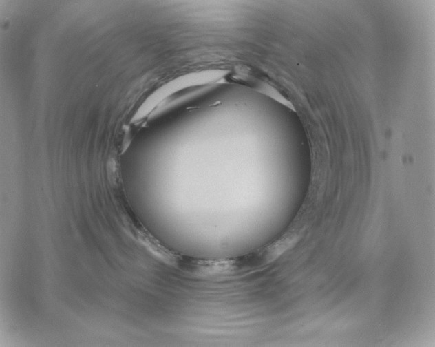 X0000070360288200607072111