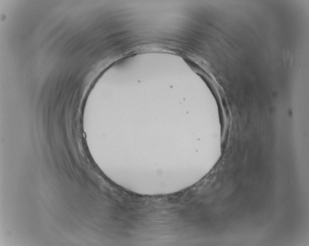 X0000070360289200607072110