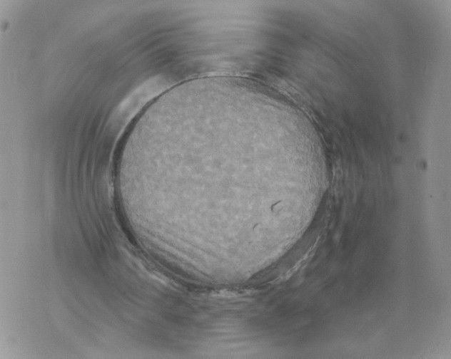 X0000070360290200607072110