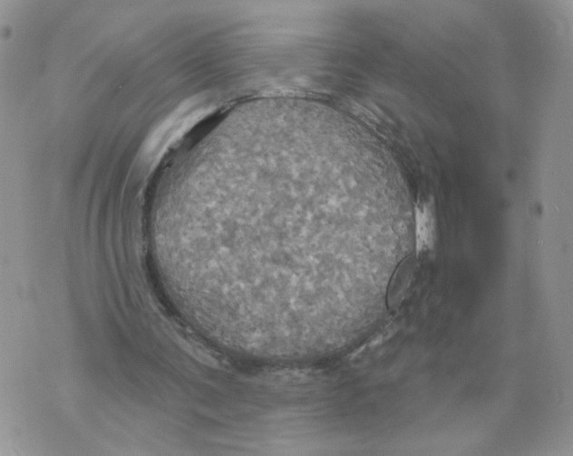 X0000070360291200607072110