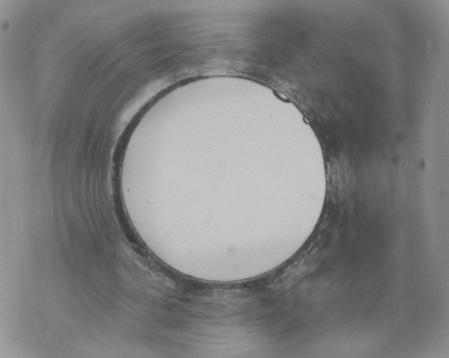 X0000070360292200607072110